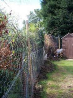 an image of a fenced in yard with chickens on the grass and trees behind it