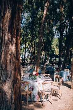 an outdoor dining area with tables and chairs in the middle of trees, surrounded by blue tablecloths