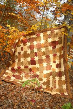 an old quilt is laying on the ground in front of some trees with autumn leaves