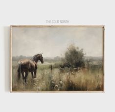 a painting of a horse in a field with the words the cold north above it