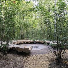 a circular bench made out of logs in the middle of a forest with lots of trees around it