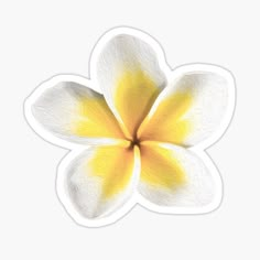 laurcich on Redbubble | Shop laurcich's unique art on Redbubble. Find great designs on T-shirts, stickers, home decor, and more. 10% of proceeds go to Flores Plumeria, Stickers Trendy, Sticker Flower, Mini Stickers, Red Bubble Stickers, Flower Stickers