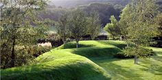 a grassy hill with trees and bushes on the side