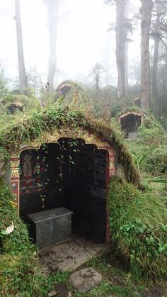 an outhouse in the middle of a forest with moss growing on it's roof