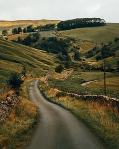 a winding road in the middle of a lush green field