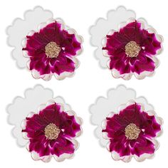 four red and white flowers with gold centers