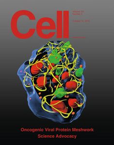 the cover of cell magazine with an image of a bunch of colorful objects in it