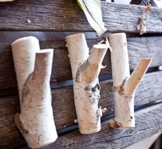 several pieces of wood are attached to the side of a wooden wall with plant life growing on it