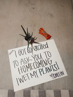 a piece of paper that has been placed on the ground with a plant in it