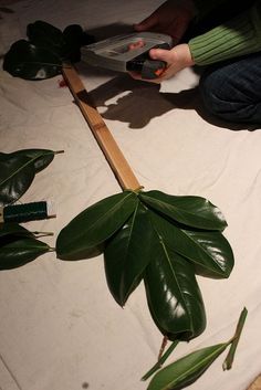 a person holding a cell phone in their hand next to a plant with leaves on it