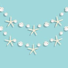 starfish and seashells are strung from a string on a light blue background