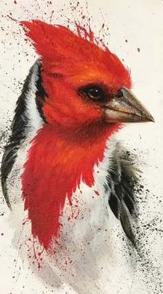 a painting of a red bird with black and white feathers