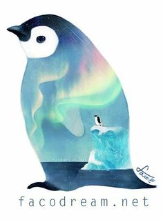 the penguin is sitting on top of an iceberg and looking at the aurora bore