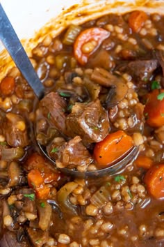 a spoon full of stew with carrots and beans