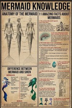 an old poster with mermaids and their names