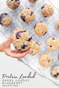 a hand holding a blueberry muffin over a cooling rack with more muffins in the background