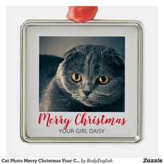 a christmas ornament with a grey cat on it's face and the words merry christmas your girl daisy