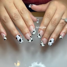 Brown Black And White Cow Print Nails, Coloured Cow Print Nails, Acrylic Nails Ideas Cow Print, Cow Print Fake Nails, Moo Cow Nails, Cheetah And Cow Print Nails, Nails Acrylic Short Cow Print, Sparkly Cow Print Nails, Cow Print French Nails