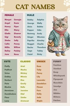 a cat names poster with different colors and words on it's side, including the name