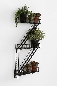 two black metal shelves with plants on them