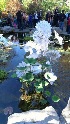 a group of people standing around a pond filled with water lilies