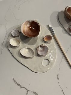 seashells are sitting on a white plate with a pencil and eraser next to them