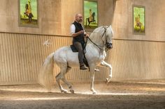 a man riding on the back of a white horse in an enclosed area with paintings behind him