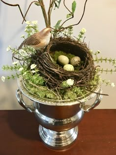 a bird sitting on top of a nest filled with eggs