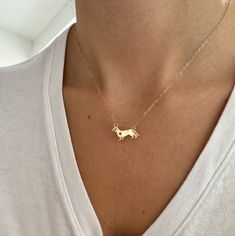 "Fun and playful, dachshund necklace featuring a small heart on the dogs chest. Inspired by my dachshund Pickles🐾 Perfect on its own or layered with more necklaces. Makes a great gift for dachshund lovers. Gold filled chain.  Charm: 16k gold plated, brass. 20x11mm 16\" length *Gold filled is a more affordable alternative to solid gold jewelry. Gold filled is a layer of gold bonded onto a base metal with heat and pressure that contains 100+ times more gold than gold plated jewelry.  *It is very durable and tarnish resistant.  *With proper care, gold filled jewelry can last several years. Avoid contact with harsh chemicals, perfumes, water, etc.  *Gold filled jewelry can be worn by people with sensitive skin because it is hypoallergenic, lead free and nickel free.  If you have any questions Dachshund Jewelry, Necklace With Heart, Gold Bond, Dog Necklace, Dachshund Lovers, Solid Gold Jewelry, The Dogs, Dachshund Dog, Small Heart