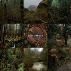 a collage of photos with trees and water in the background, including steps leading up to a tree - covered hill