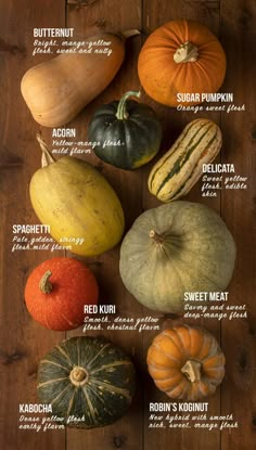 pumpkins and gourds are shown on a wooden surface with the names below them