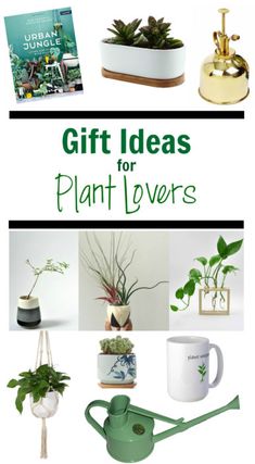 gift ideas for plant lovers with text overlay