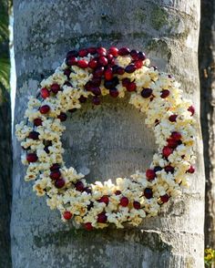 a wreath made out of cranberries and white flowers on a tree with the words popcorn and cranberry wreath for our feathered friends