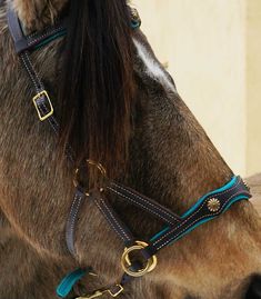 a brown horse wearing a blue bridle next to a building