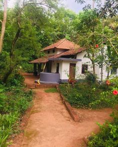 a small white house surrounded by trees and bushes