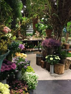 many potted plants and trees in a garden center