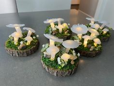 small white mushrooms sitting on top of moss covered logs with lights in the shape of flowers