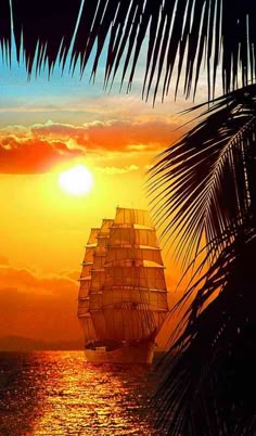 a sailboat sailing in the ocean at sunset with palm trees and clouds behind it