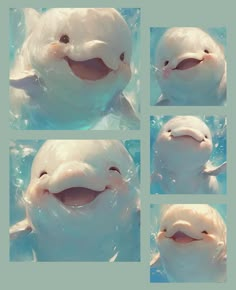 four pictures of a smiling dolphin in the water