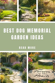 the best dog memorial garden ideas