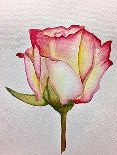 a painting of a pink rose on a white background