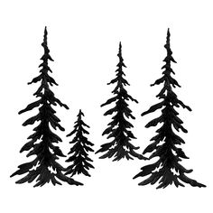 three black pine trees are shown in the shape of four different sizes and shapes, one is