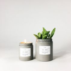 two candles with plants in them sitting next to each other