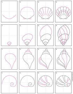 how to draw seashells step by step with pictures and instructions for beginners