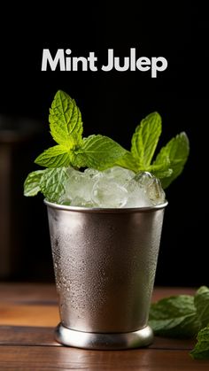 mint and ice in a silver cup with the words mint julep above it