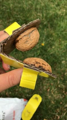 a hand holding a piece of paper and some nuts