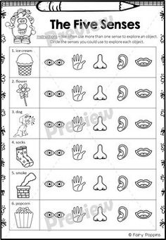 the five senses worksheet