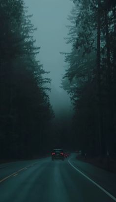 the car is driving down the road in the foggy forest at night with trees on both sides