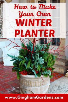 a potted plant with the words how to make your own winter planter on it