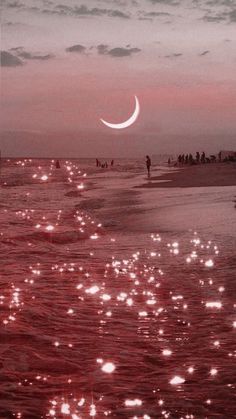 people are walking on the beach at night with stars and moon in the sky above them